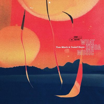 Vinil Duplo Tom Misch & Yussef Dayes - What Kinda Music (2LP / Standard) - Importado