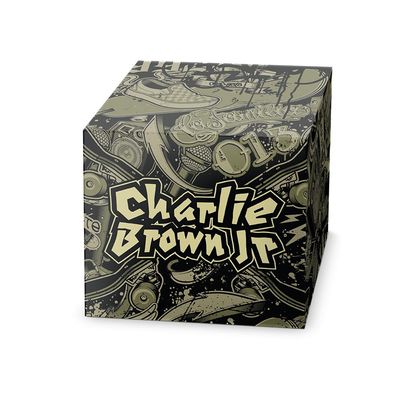Box Charlie Brown Jr. - CBJR 10 CDs - Deluxe