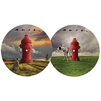 Vinil Rush - Signals (40th Anniversary / LP Picture Disc) - Importado