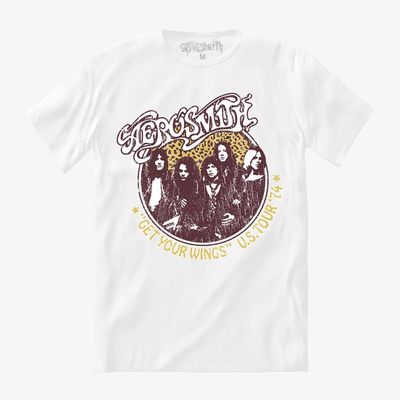 Camiseta Aerosmith - Wings 74