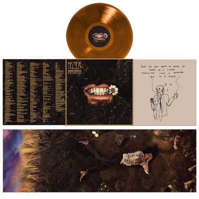 Vinil Hozier - Unreal Unearth: Unending Companion Version Raw Ochre 1LP - Importado